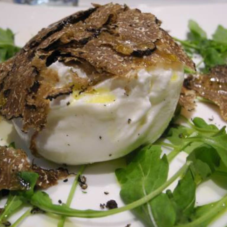 Our Delicious Salads